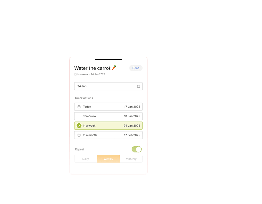 Name of the Project