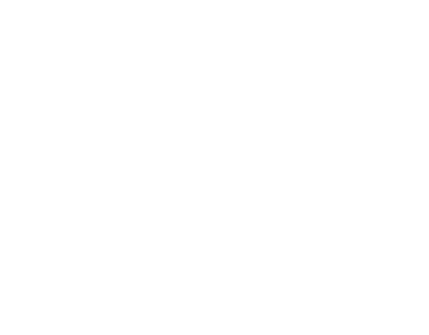 Name of the Project