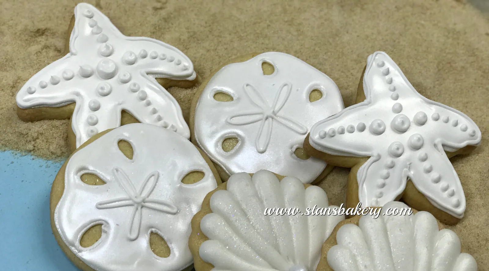 Seashell and sand dollar cookies