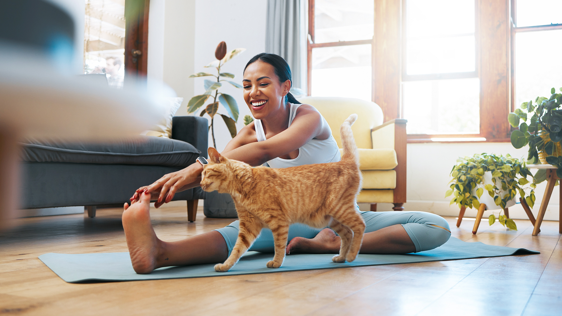 How the WeShare Health Healthy Discount Program Works