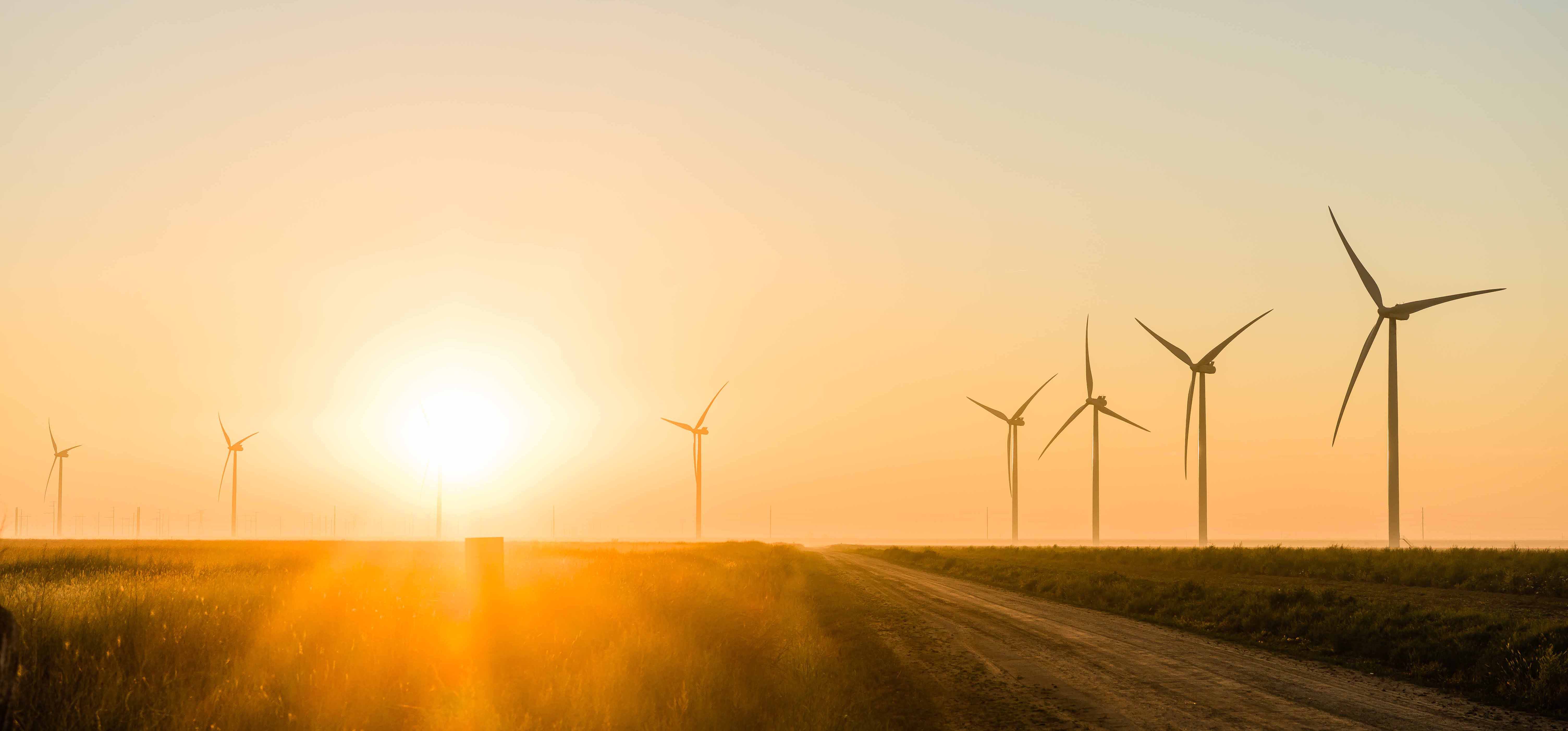 Wind turbines along a dirt road in a grassy field during a bright orange sunset.
