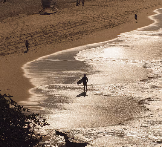 Aerial view of a beach and shoreline