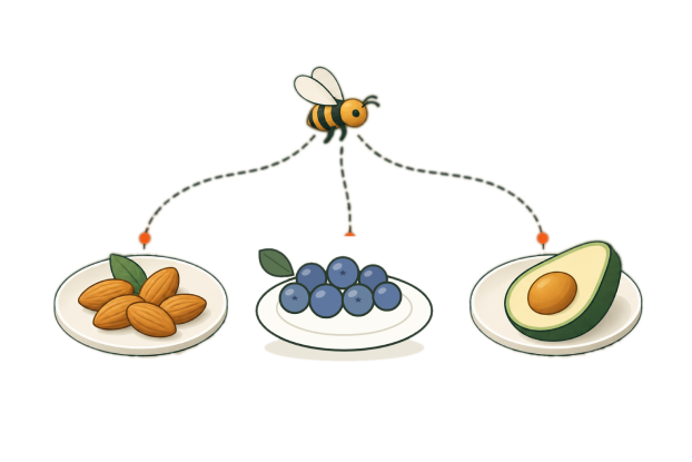 Illustration of a bee pollinating almonds, blueberries and avocado