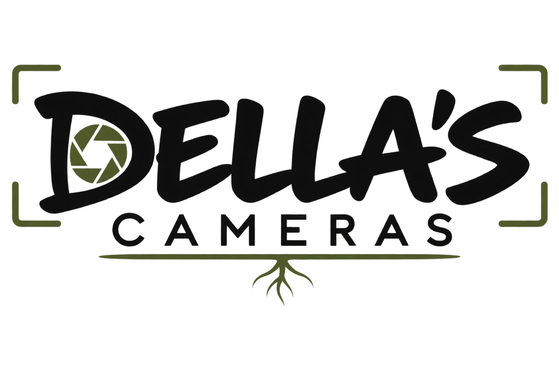 Cameras & Creator Gear category illustration