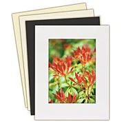 Lineco Conservation Mounting Mat Board — Lineco