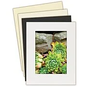 Lineco Museum Mounting Mat Board — Lineco