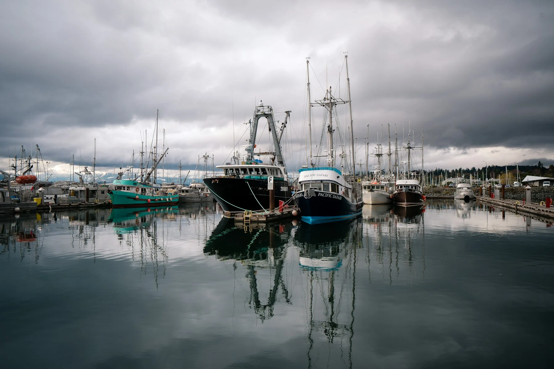 Fishing vessels moored at Comox Municipal Marina