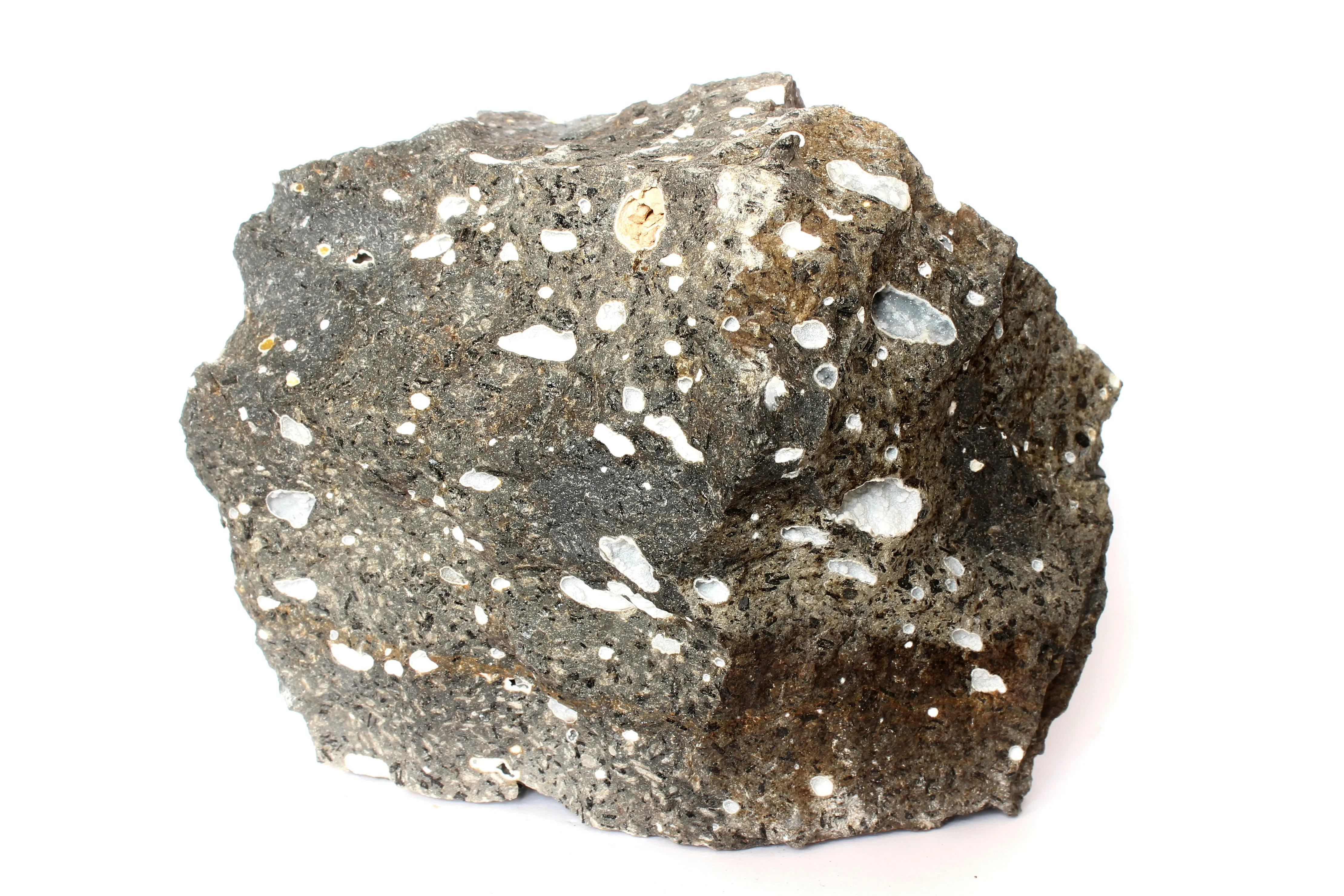 Dark amygdaloidal basalt with pale mineral-filled cavities from the Czech Republic; reference material.