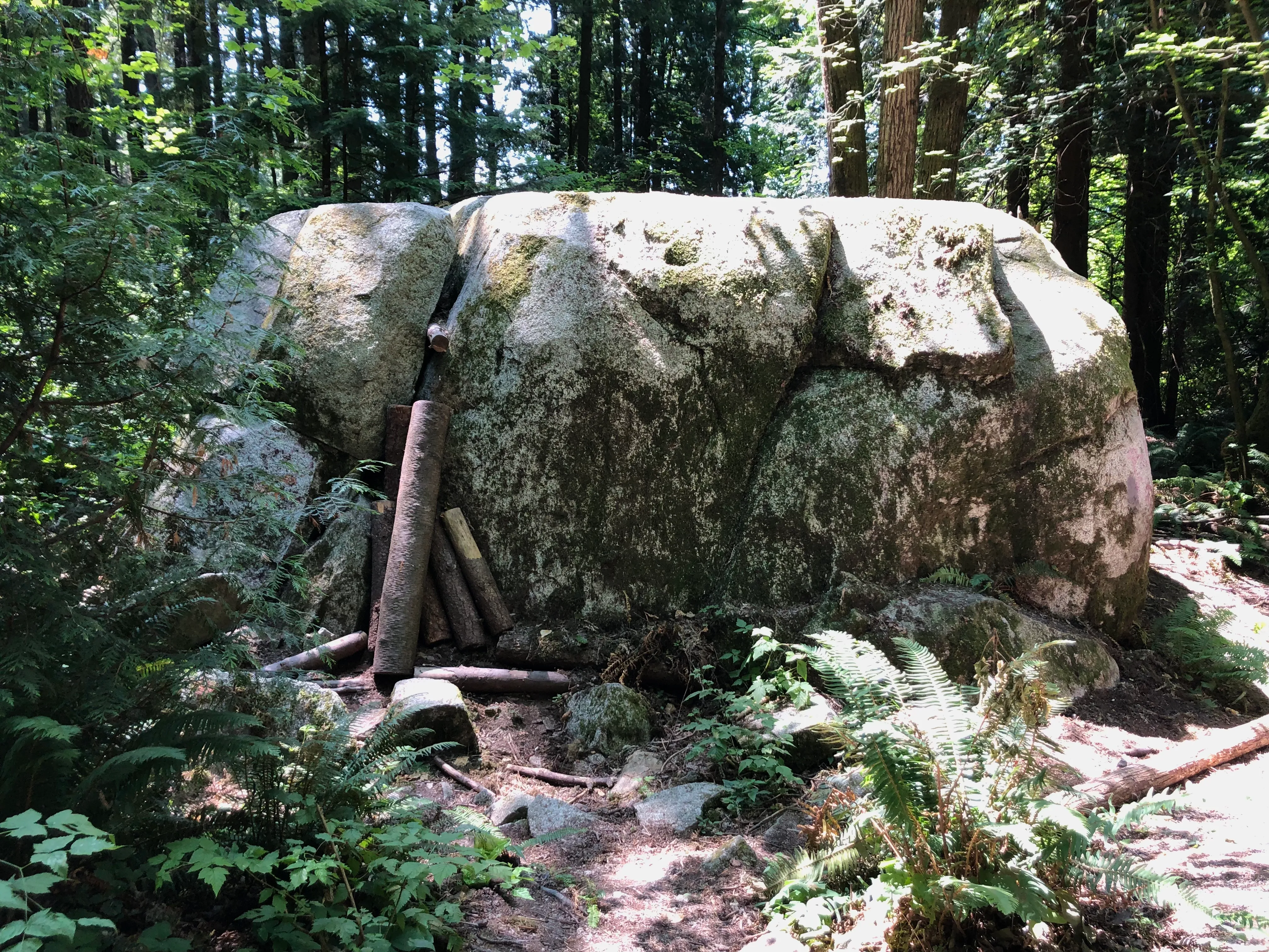 A large glacial erratic in forest in Surrey, British Columbia; reference photography for substantial stone.