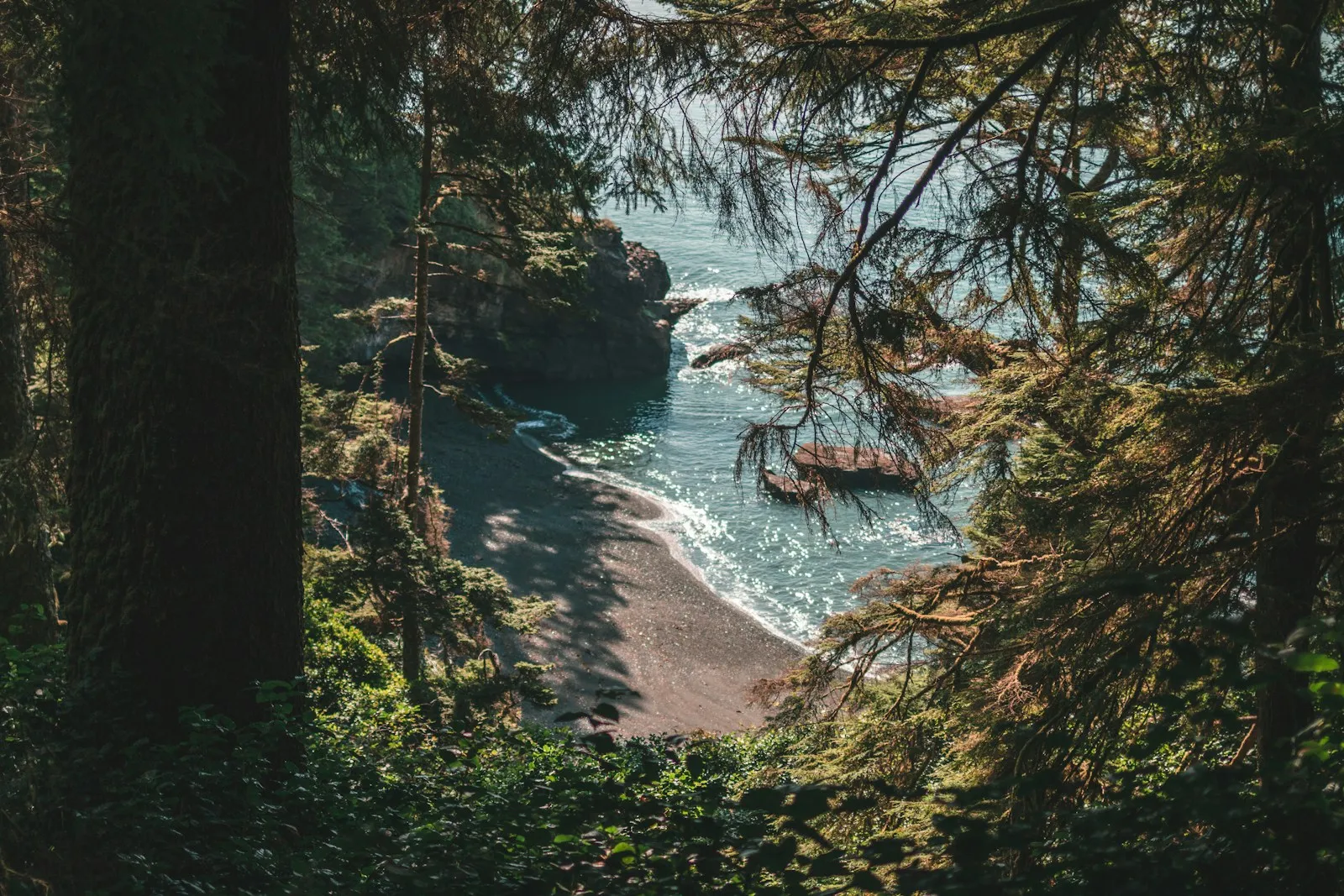 Vancouver Island coastal geology landscape used as the HUNTER Market hero image