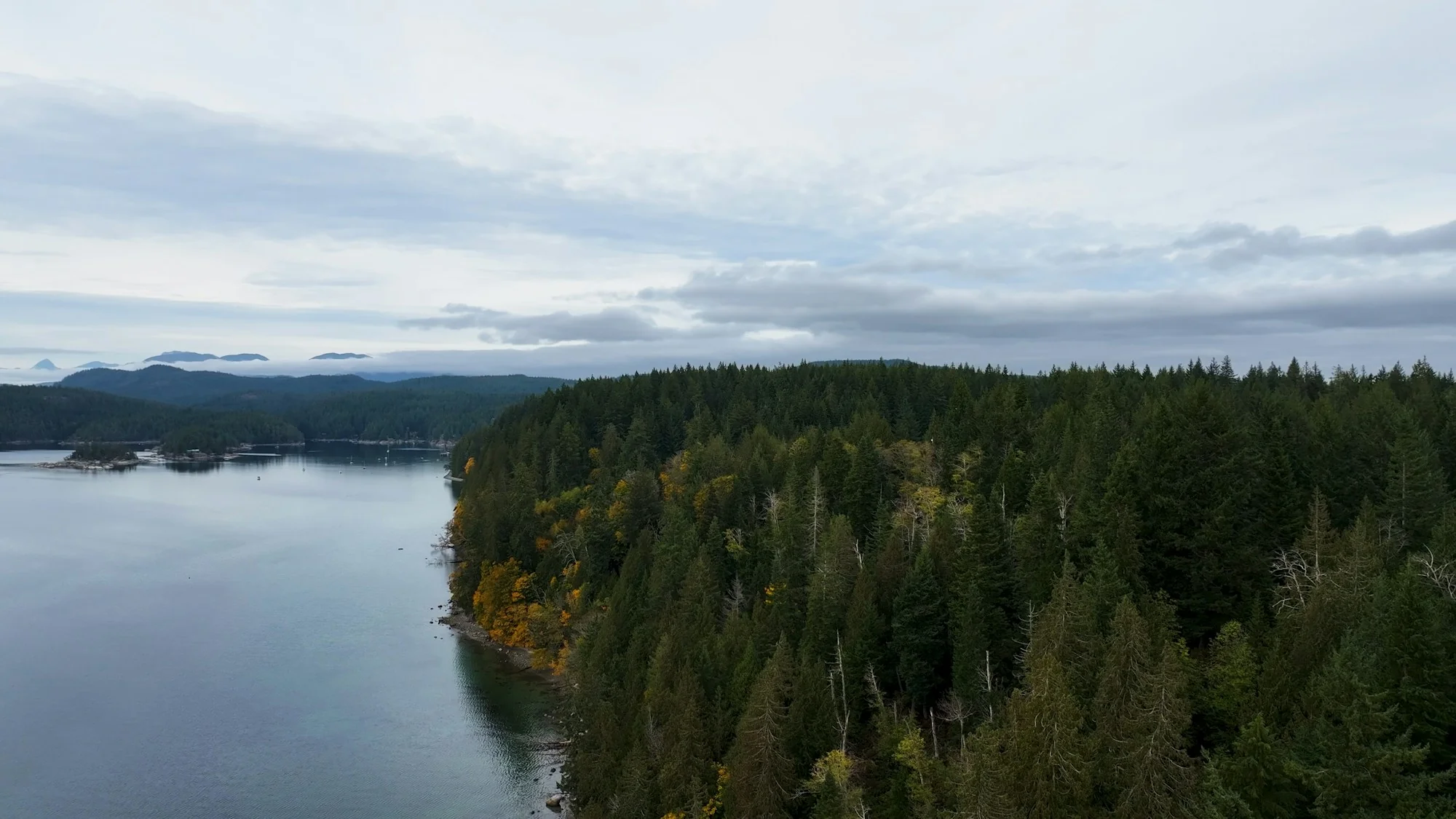 Aerial view of sheltered water and forest on the British Columbia coast
