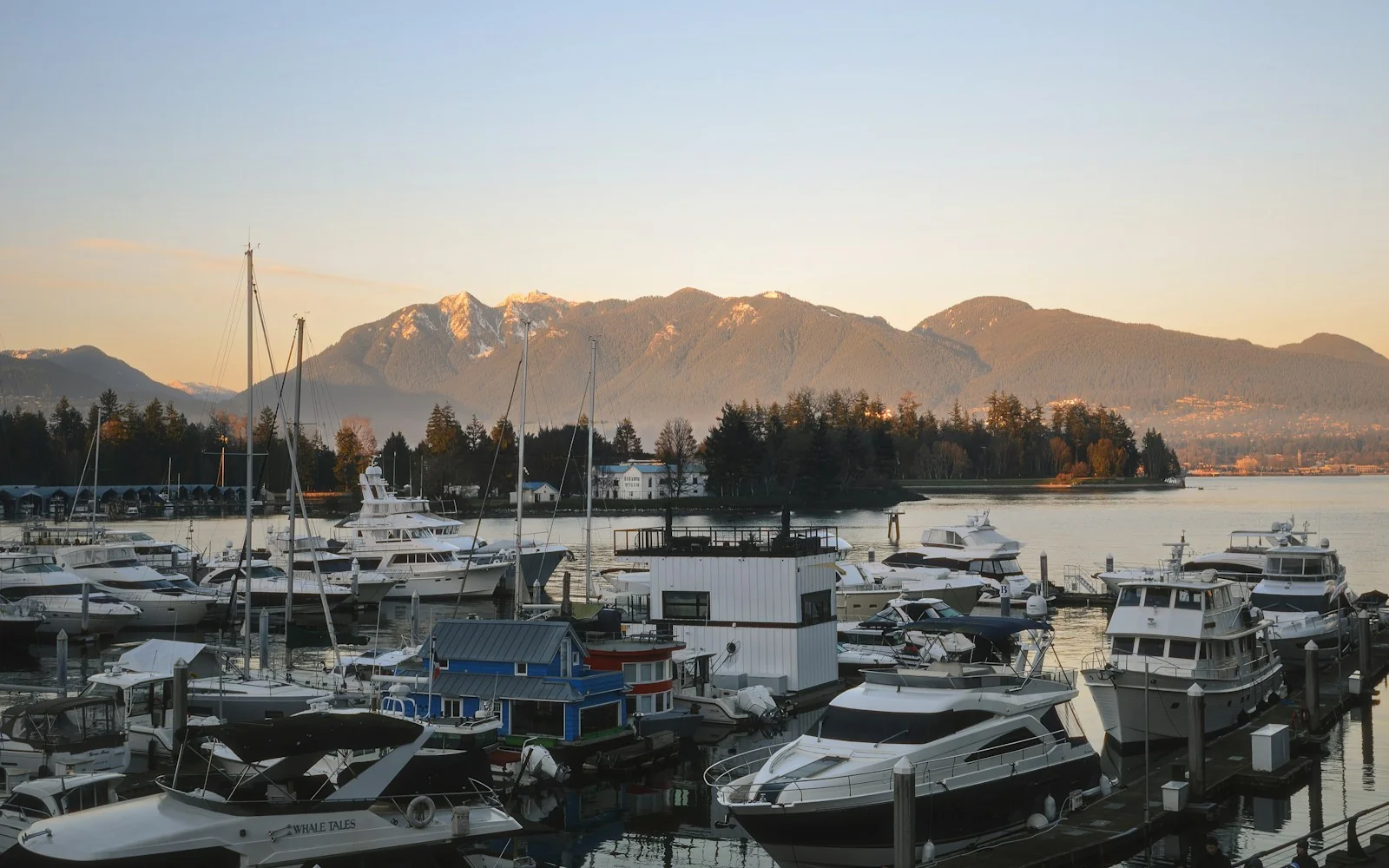 Boats in Vancouver's Coal Harbour with coastal mountains in the distance