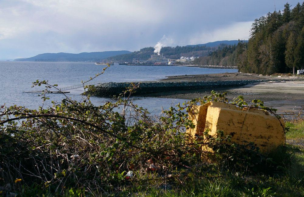 Campbell River School District 72 area photograph