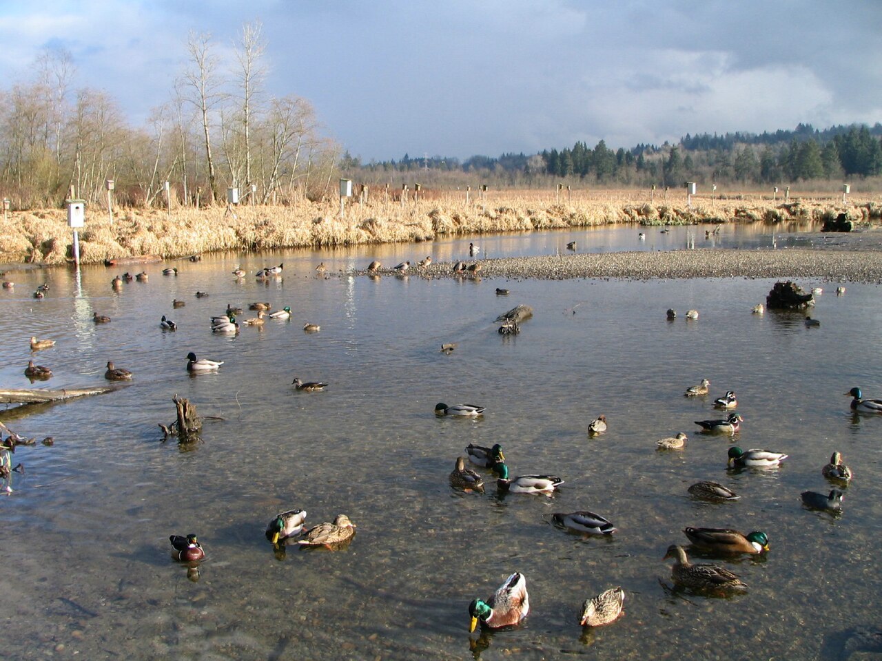 Campbell River School District 72 area photograph