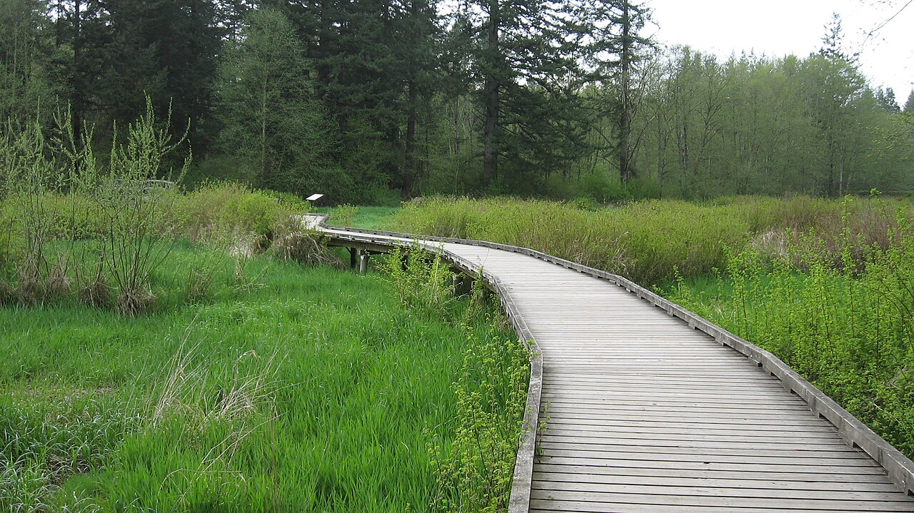 Campbell River School District 72 area photograph