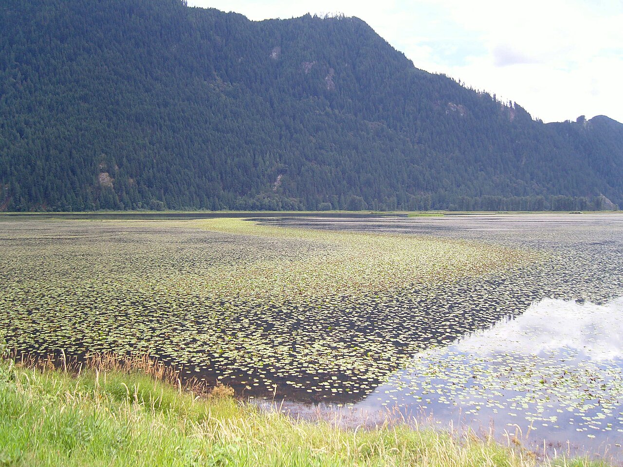 Campbell River School District 72 area photograph