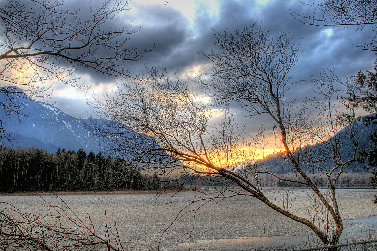 Campbell River School District 72 area photograph