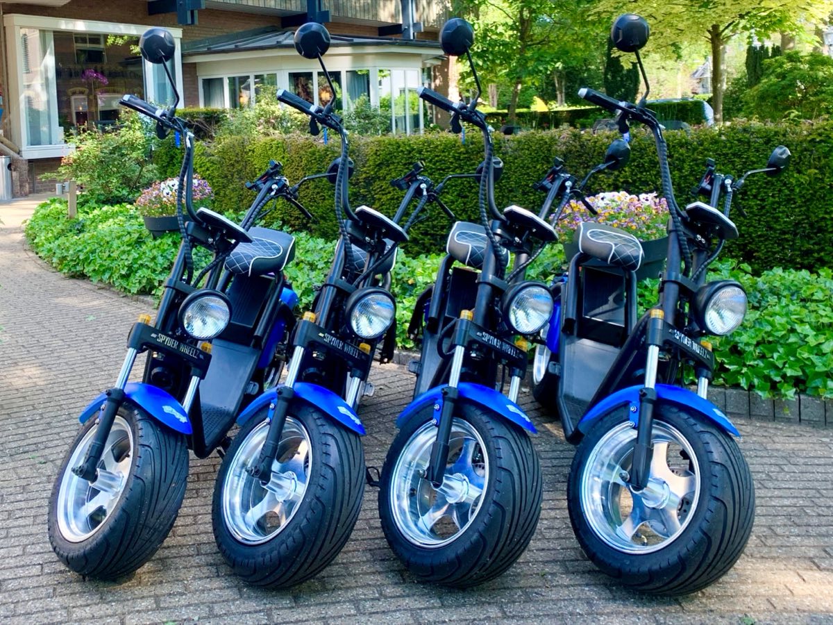 E-Choppers