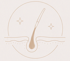 Follicle Illustration Icon