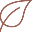 Leaf Icon