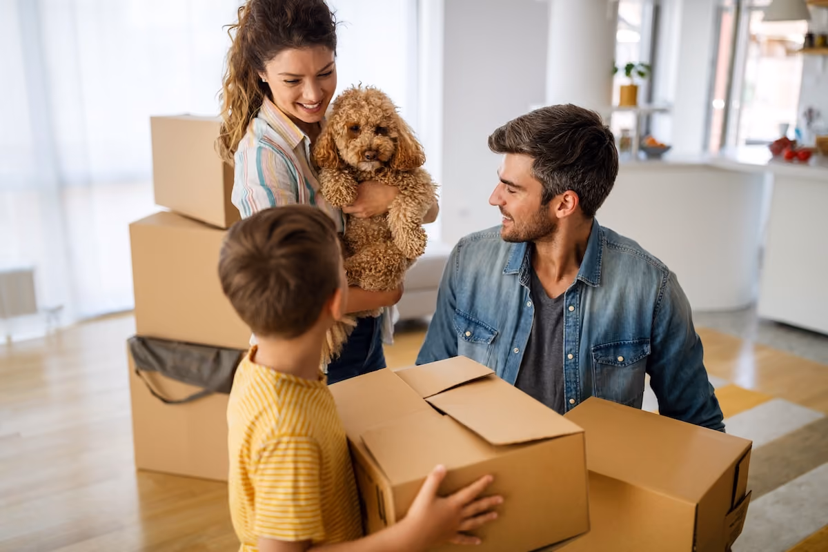 Family + Dog Moving Boxes
