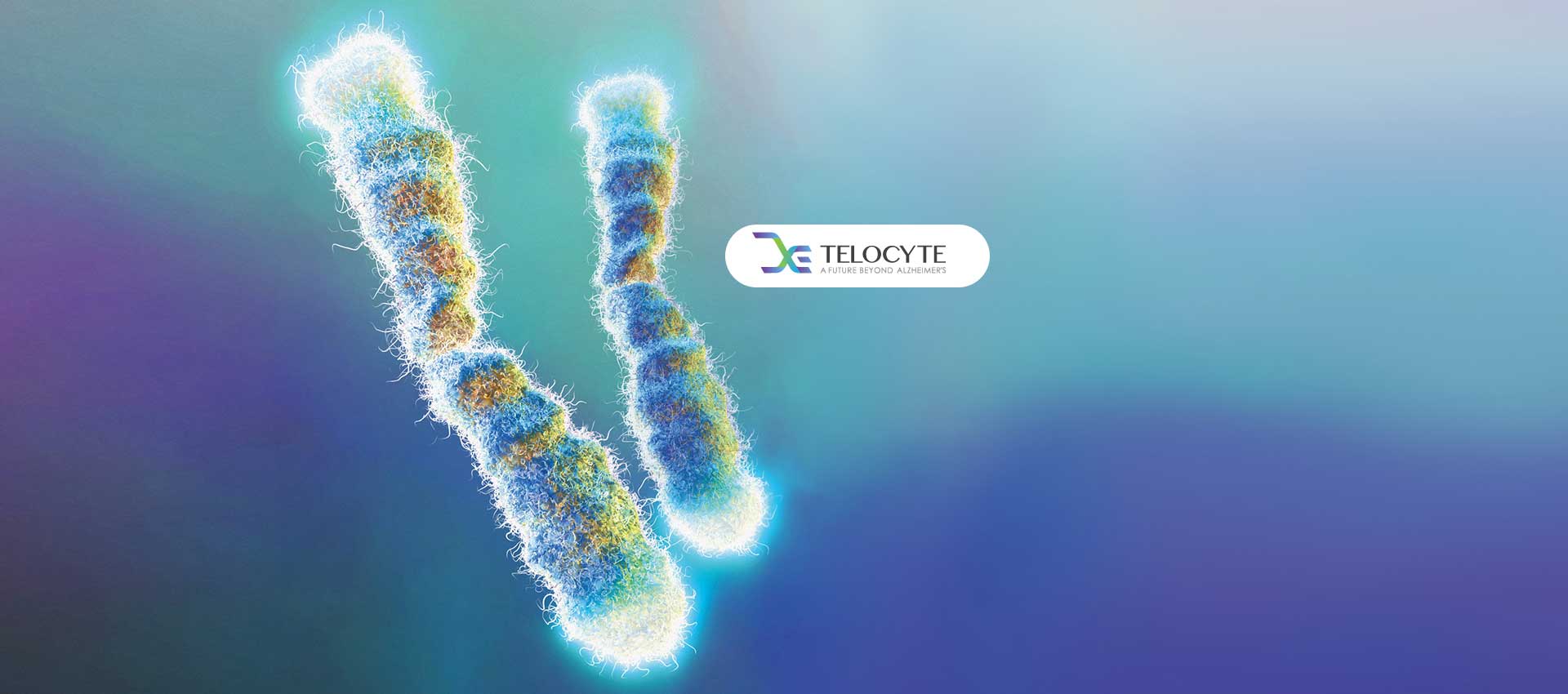 View Telocyte's images on CB/I Digital Case Study Page of Platform Development Service.
