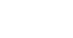 bidvest