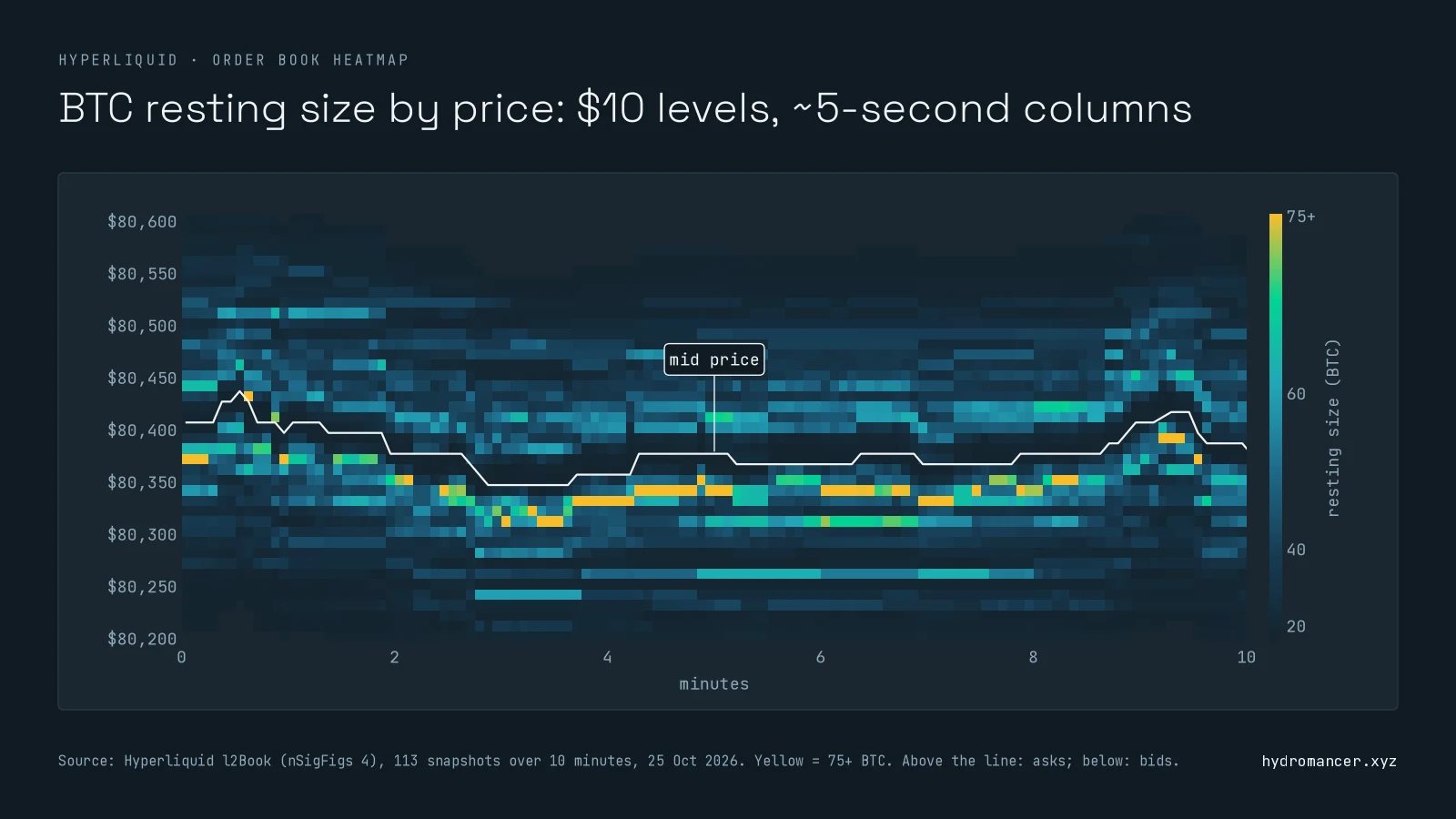 Hyperliquid BTC order book heatmap over ten minutes. Price from about $80,200 to $80,600 on the side, minutes along the bottom, resting size shaded from dark (little) to yellow (75+ BTC), with a white mid-price line. The biggest levels sit just below the mid price on the bid side.