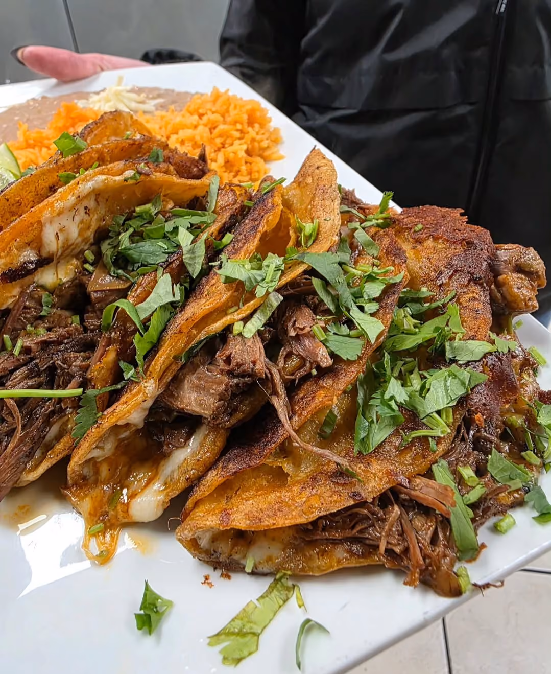 Quesabirria tacos with melted cheese, cilantro, rice, and beans — Don Chuy's Taqueria, Burbank IL