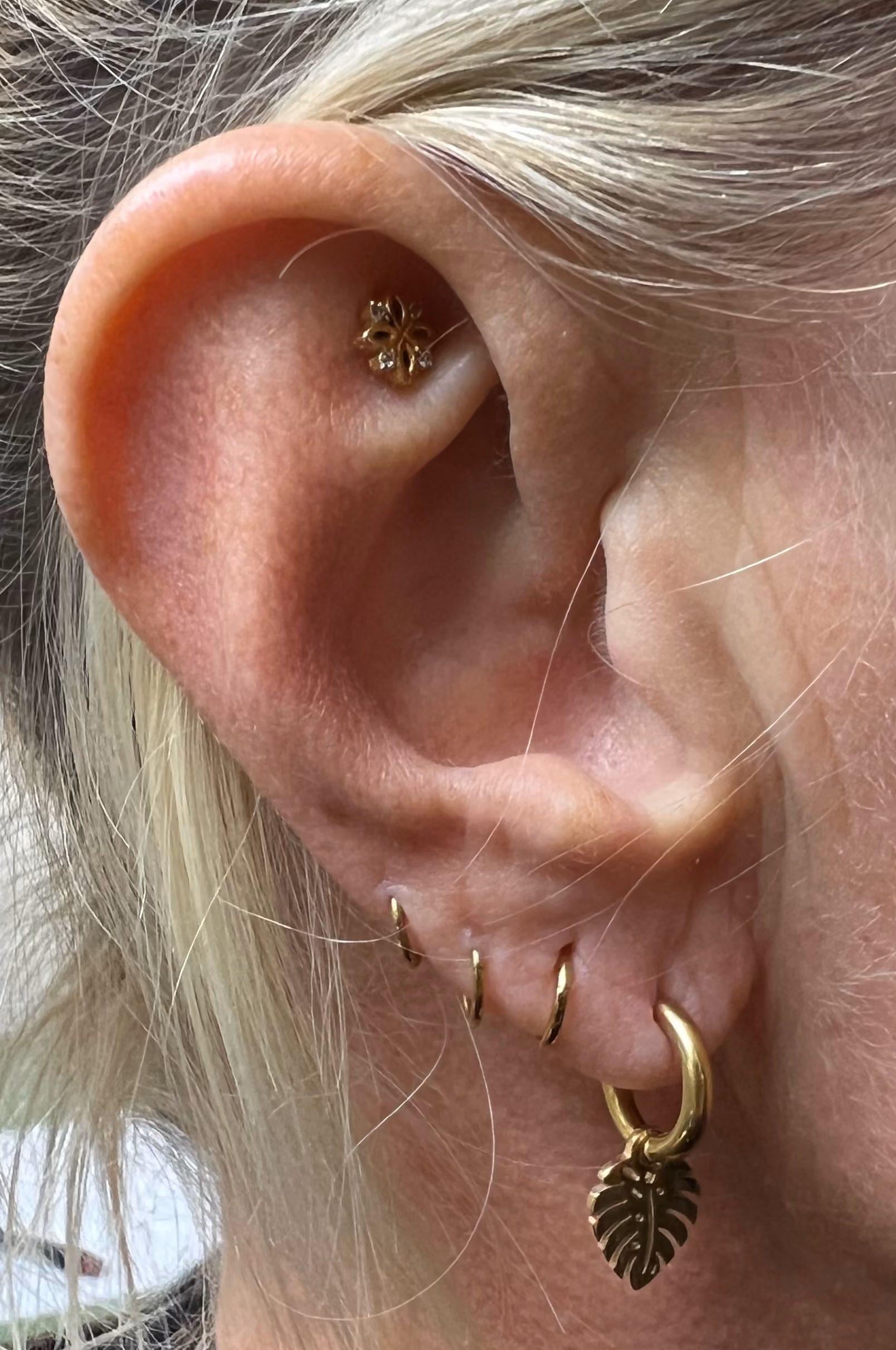 Piercing-Arbeit von Taboo Piercing Rostock