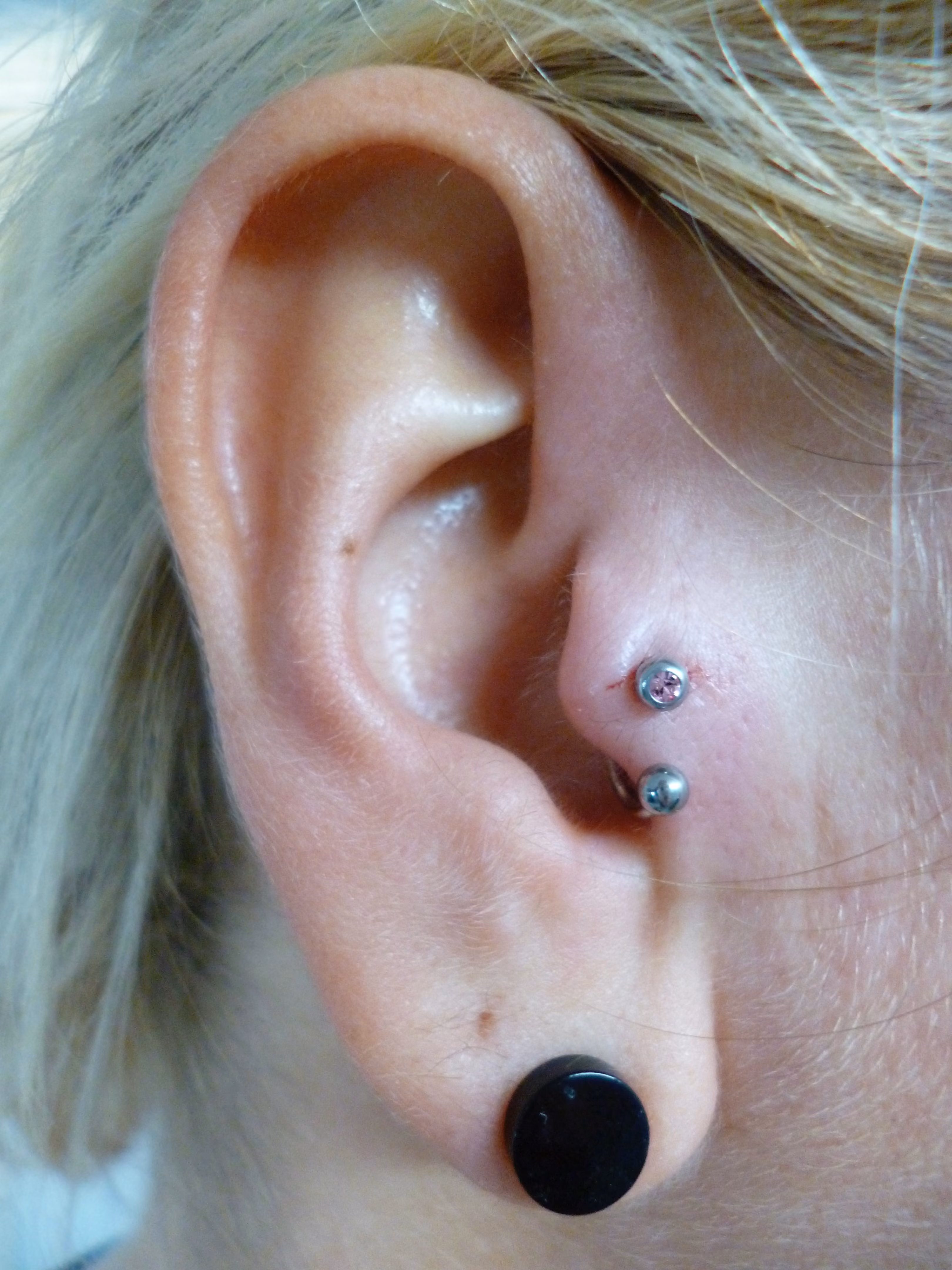 Piercing-Arbeit von Taboo Piercing Rostock