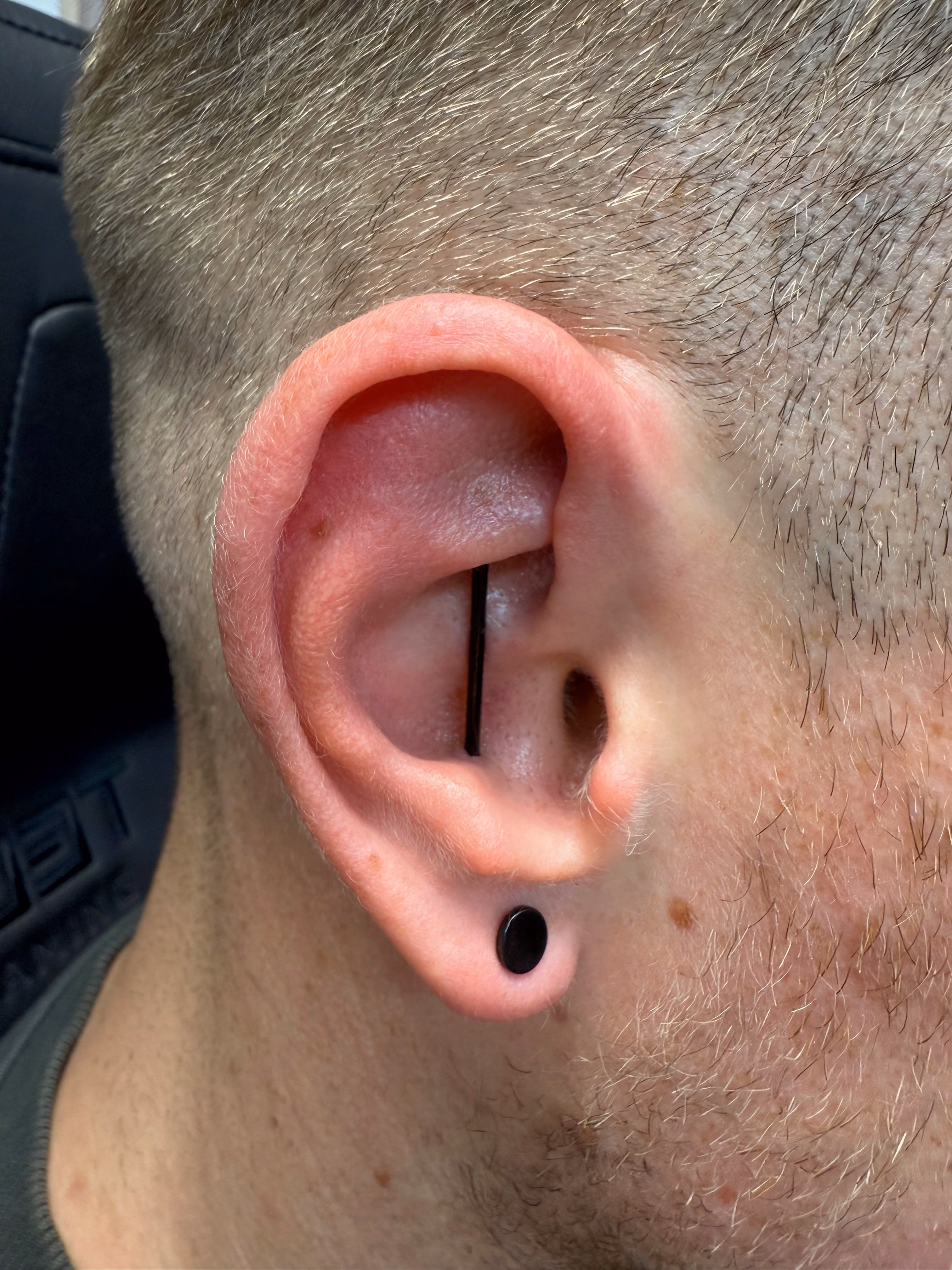 Piercing-Arbeit von Taboo Piercing Rostock