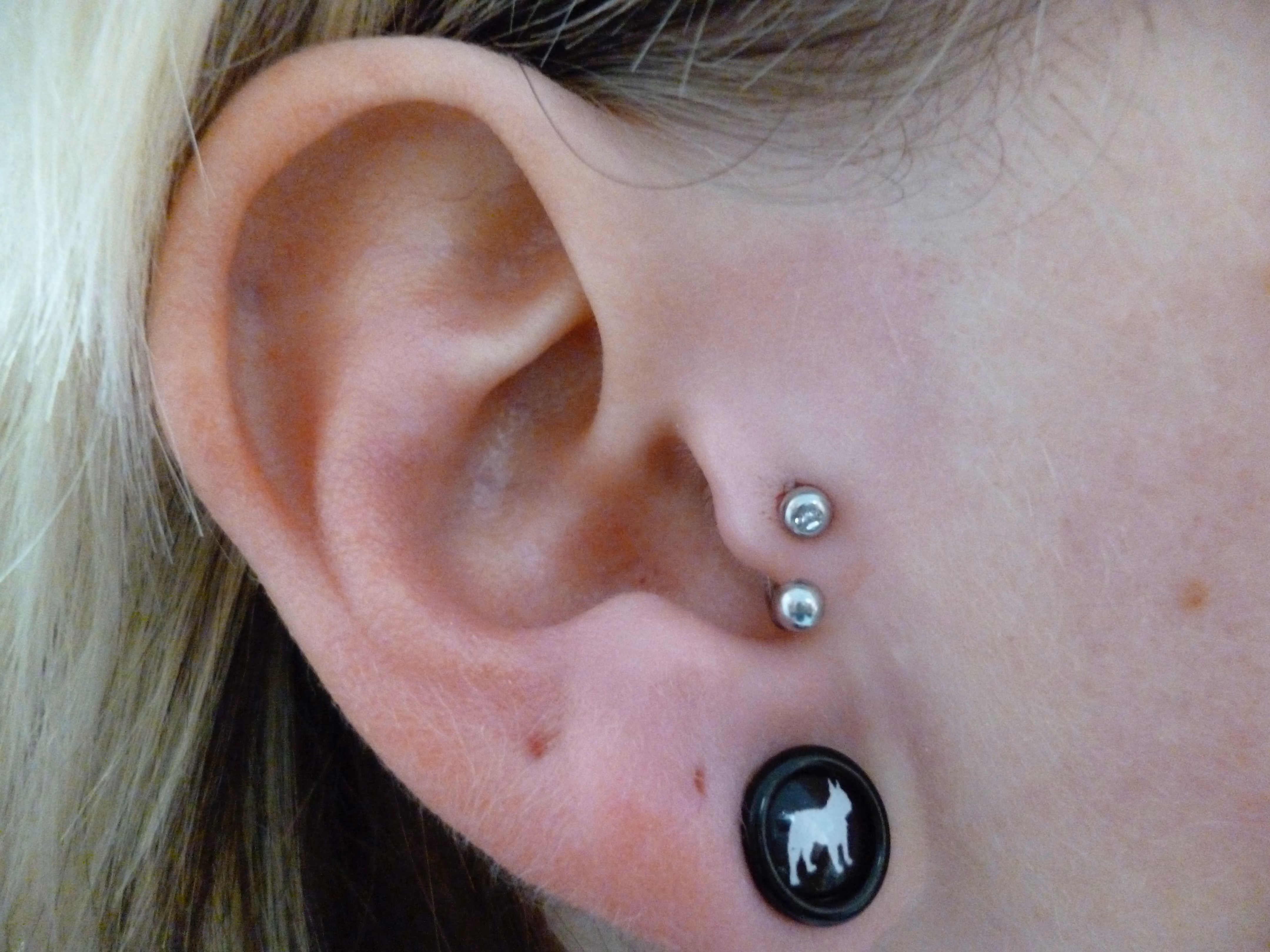 Piercing-Arbeit von Taboo Piercing Rostock