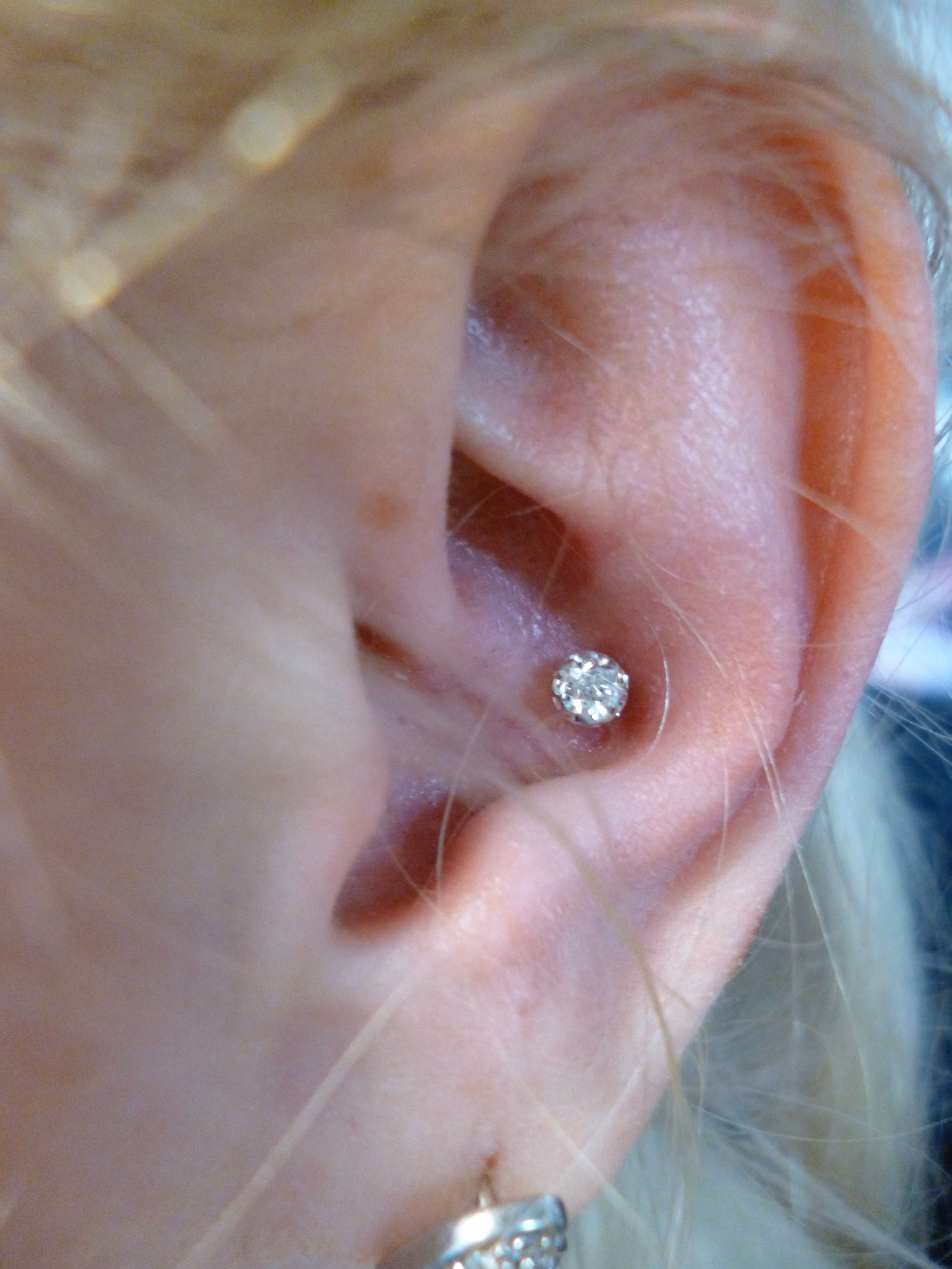 Piercing-Arbeit von Taboo Piercing Rostock