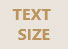 text size