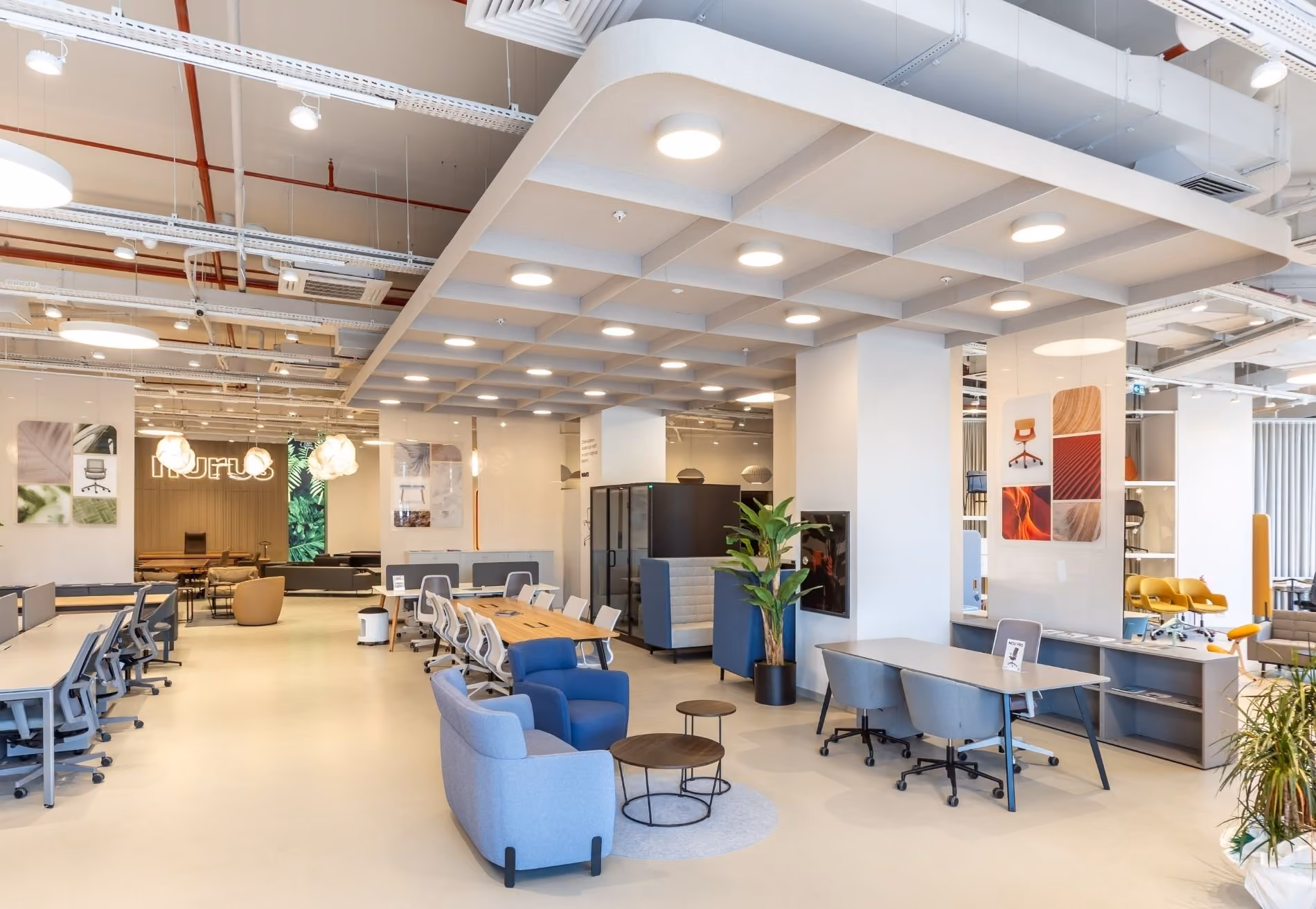Acoustically treated interior showroom space
