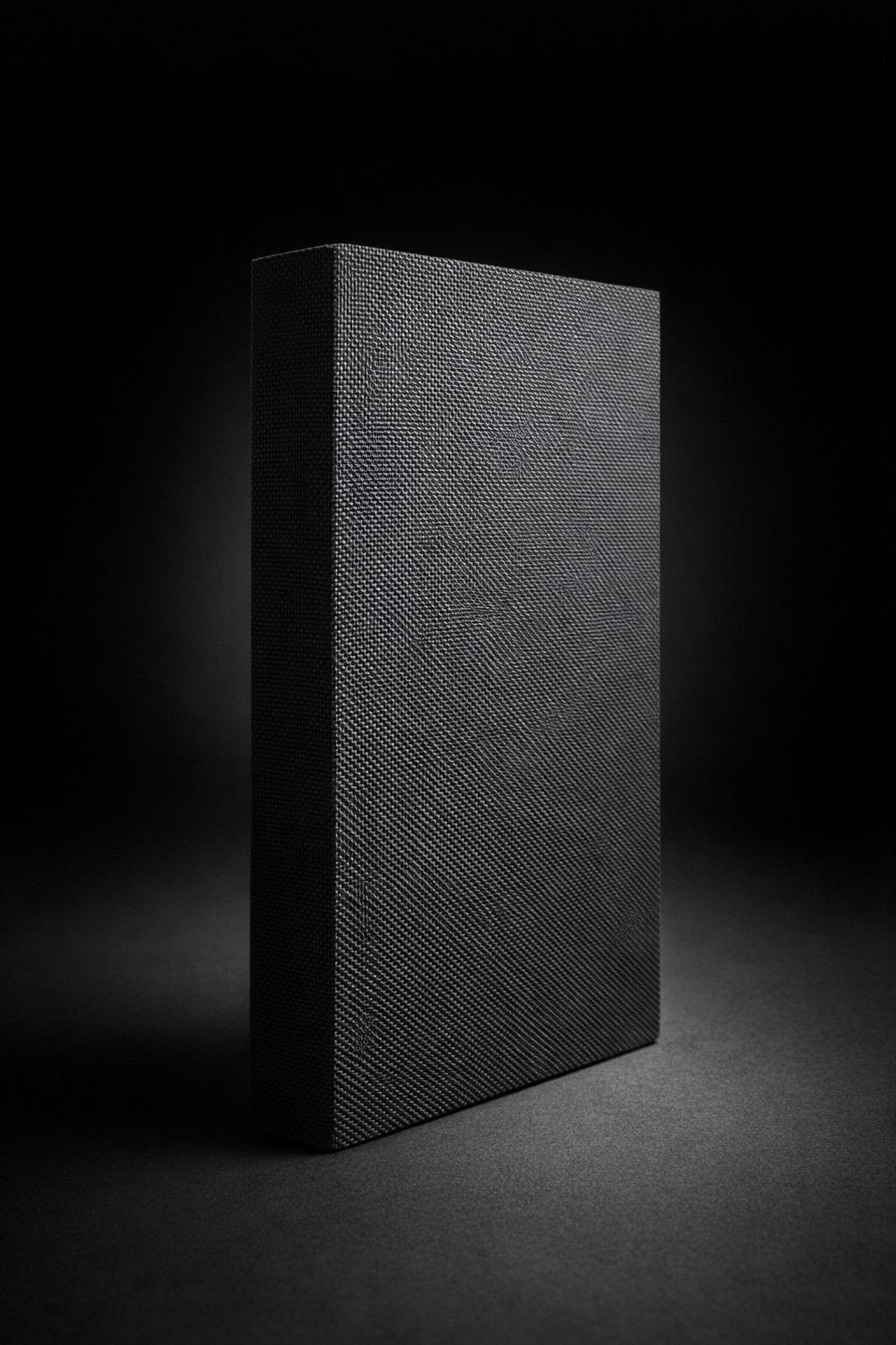 Parmephon Solo acoustic panel