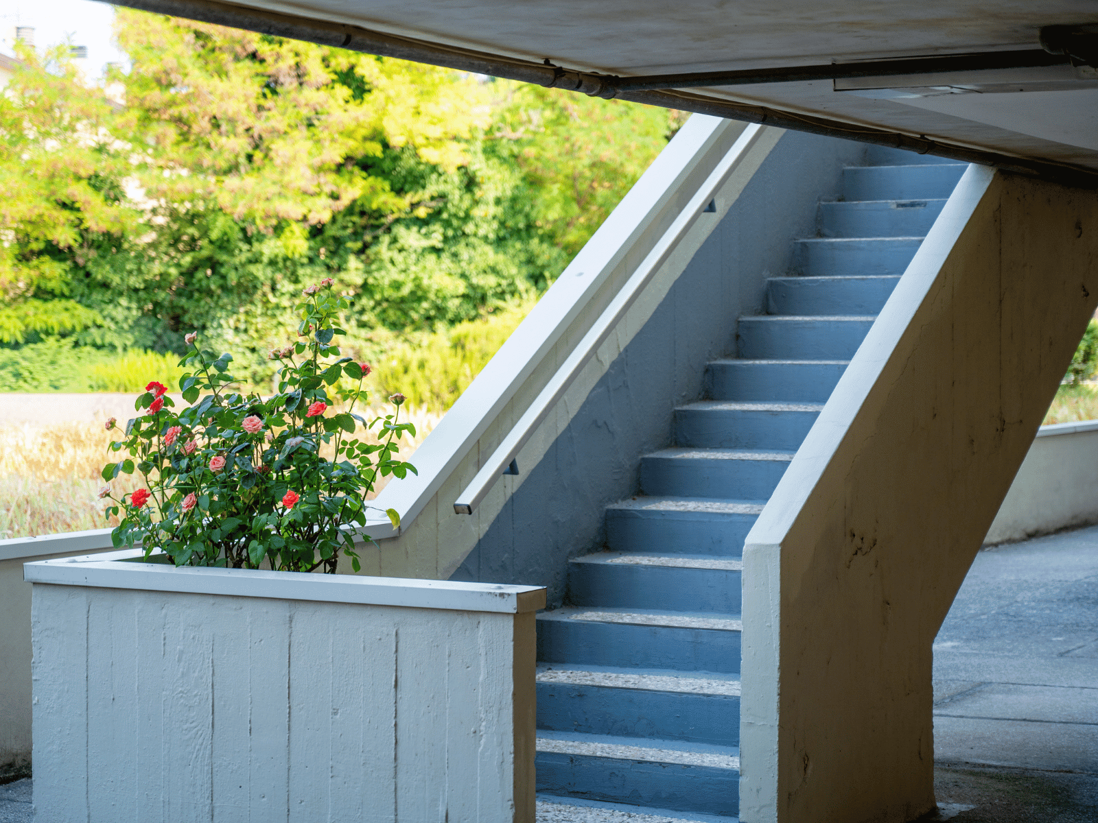 Blau gestrichene Außentreppe mit Handlauf an einer Hauswand, daneben ein Rosenbeet