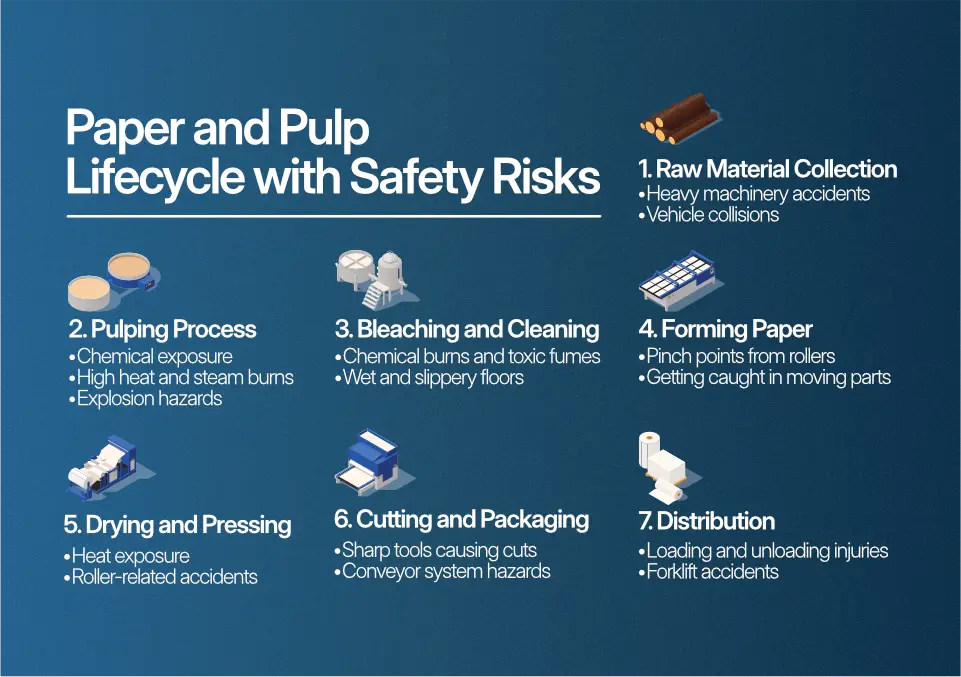 Paper and pulp life cycle with Safety risks