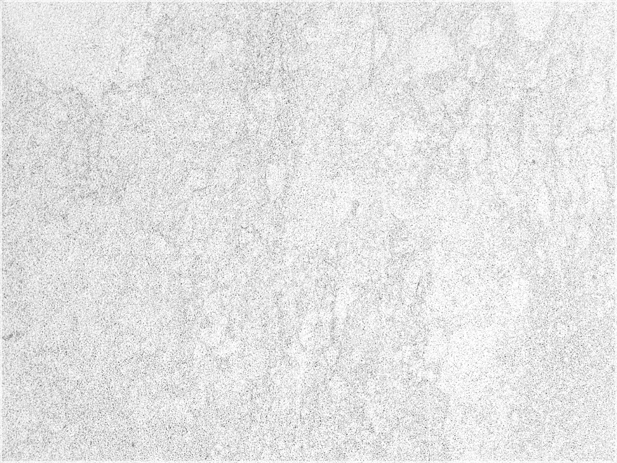 Close-up of Ice Blue marble with a pale gray-white surface and fine gray markings.