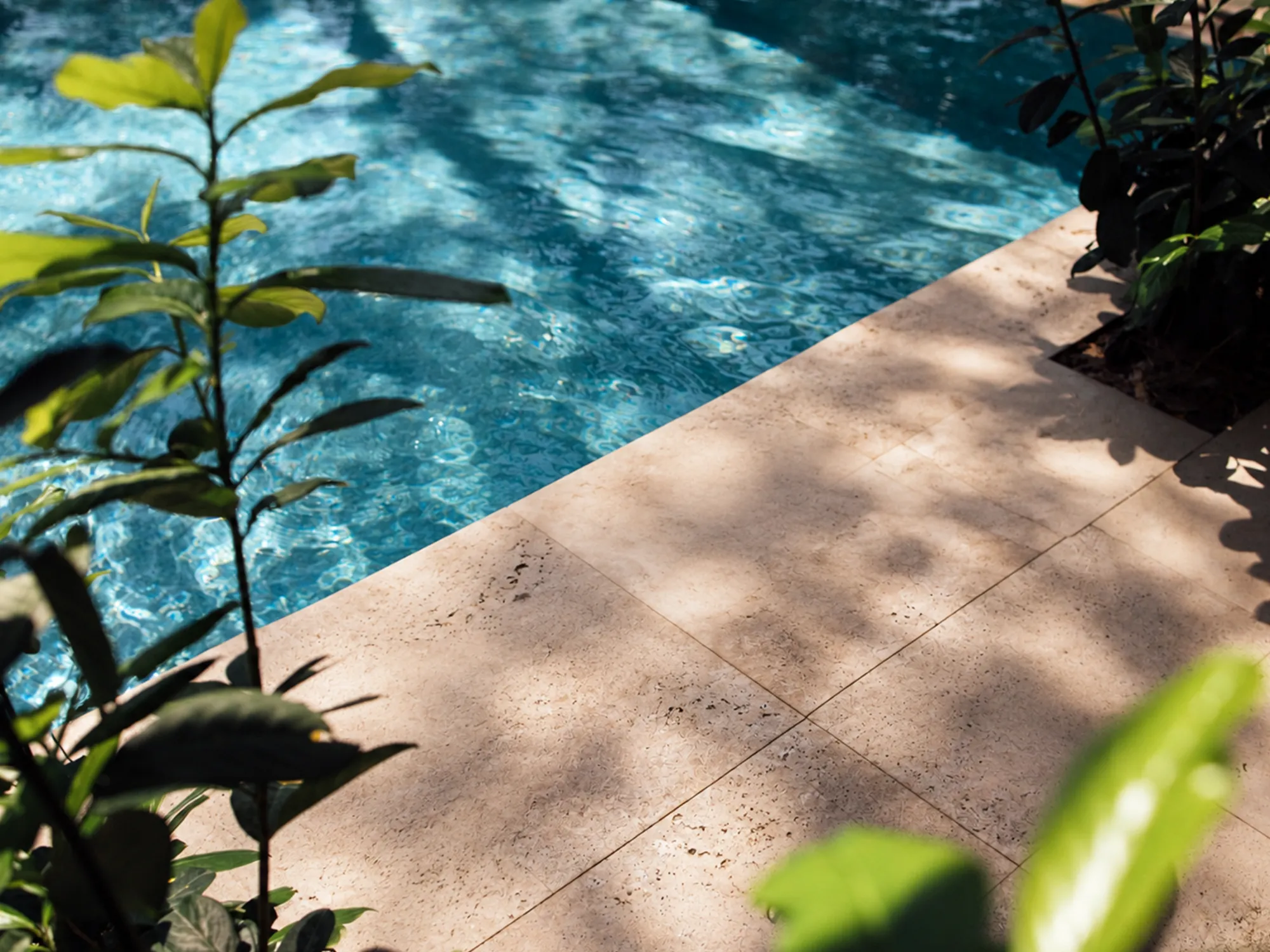 Close-up of Walnut Travertine pool coping and paving beside blue water, showing natural surface pores and dappled leaf shadows.