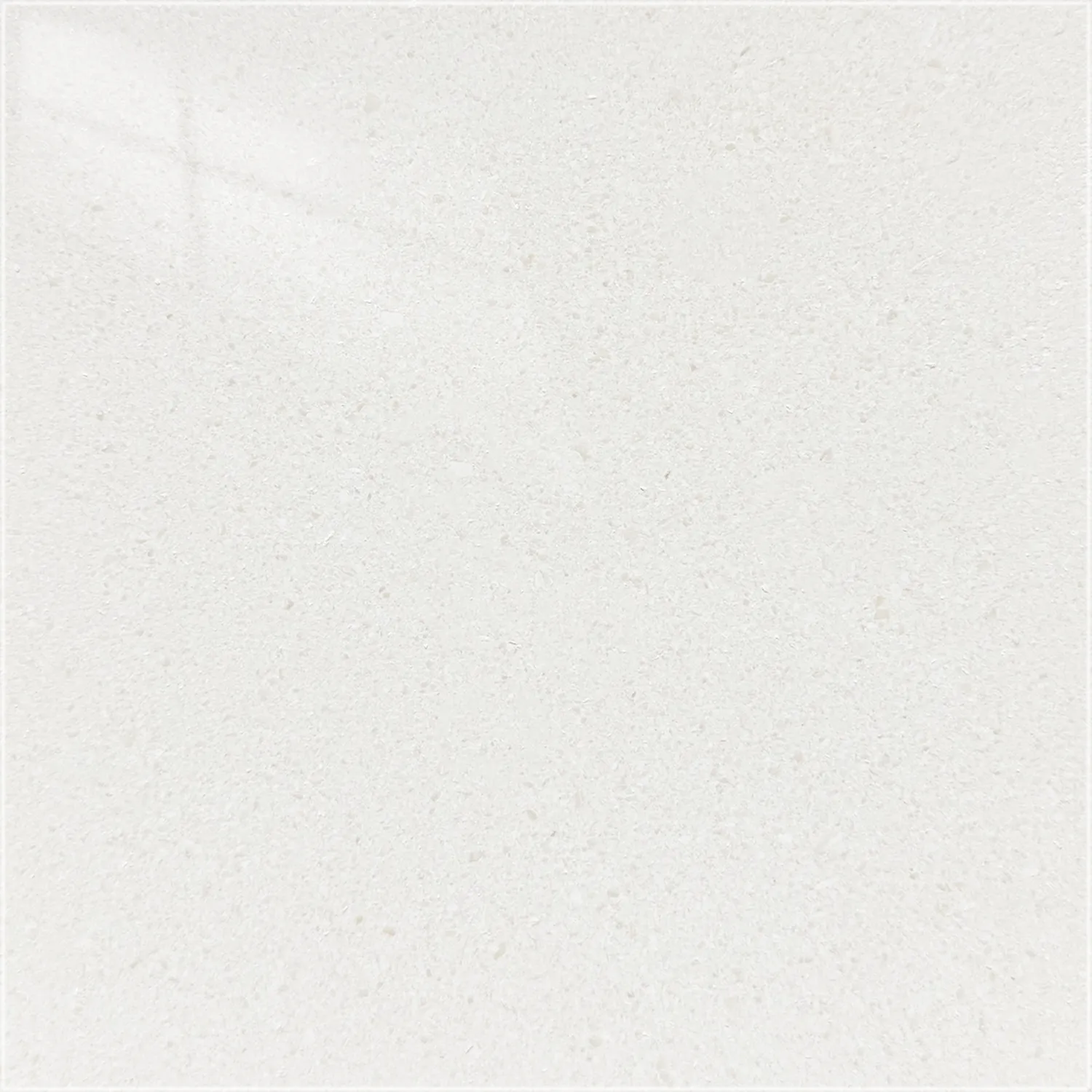 Classic Limestone tile with a polished finish, showing a pale ivory surface and subtle cream and gray markings.