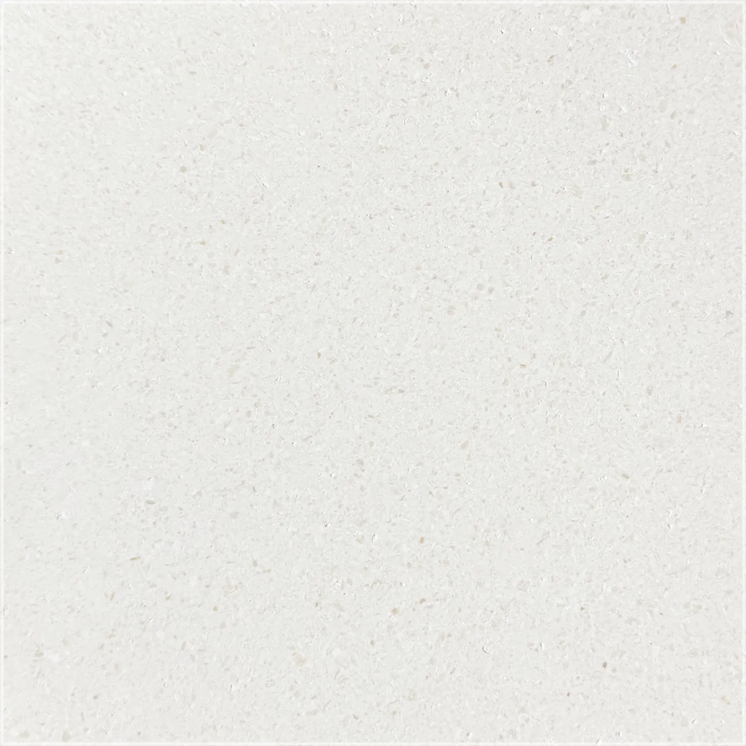 Classic Limestone tile with a honed finish, showing soft ivory tones and fine natural speckling.