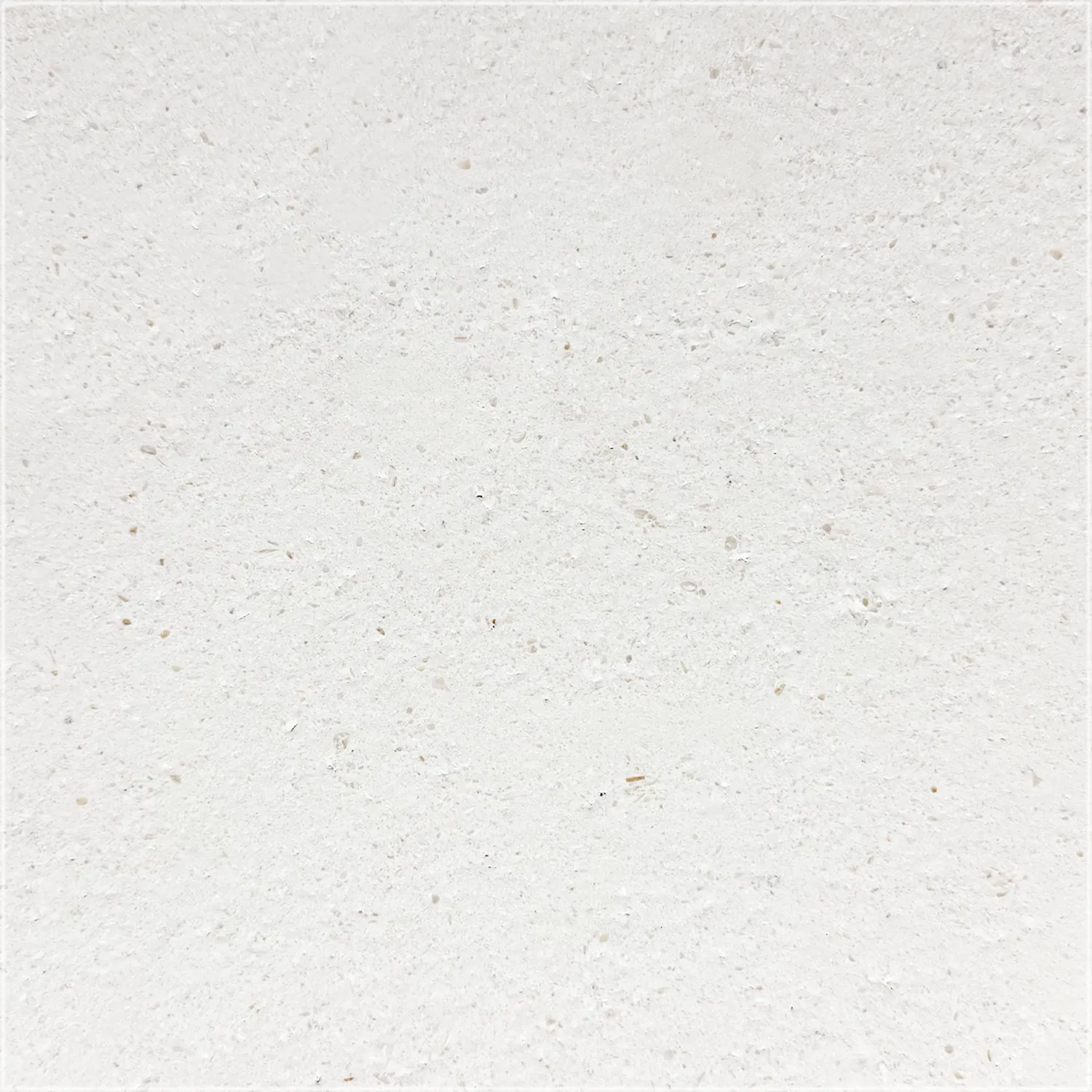 Classic Limestone tile with a brushed finish, showing a textured ivory surface with small natural pits and speckles.