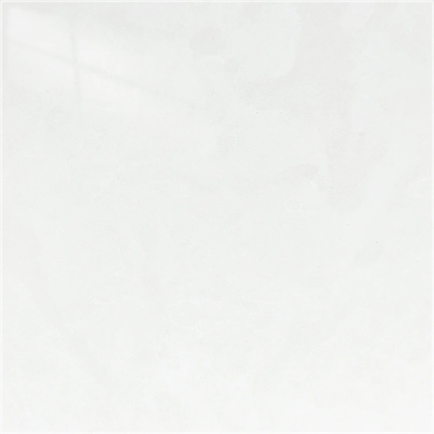 Cloudy Limestone tile with a polished finish, showing an off-white surface and delicate cloudy tonal variation.