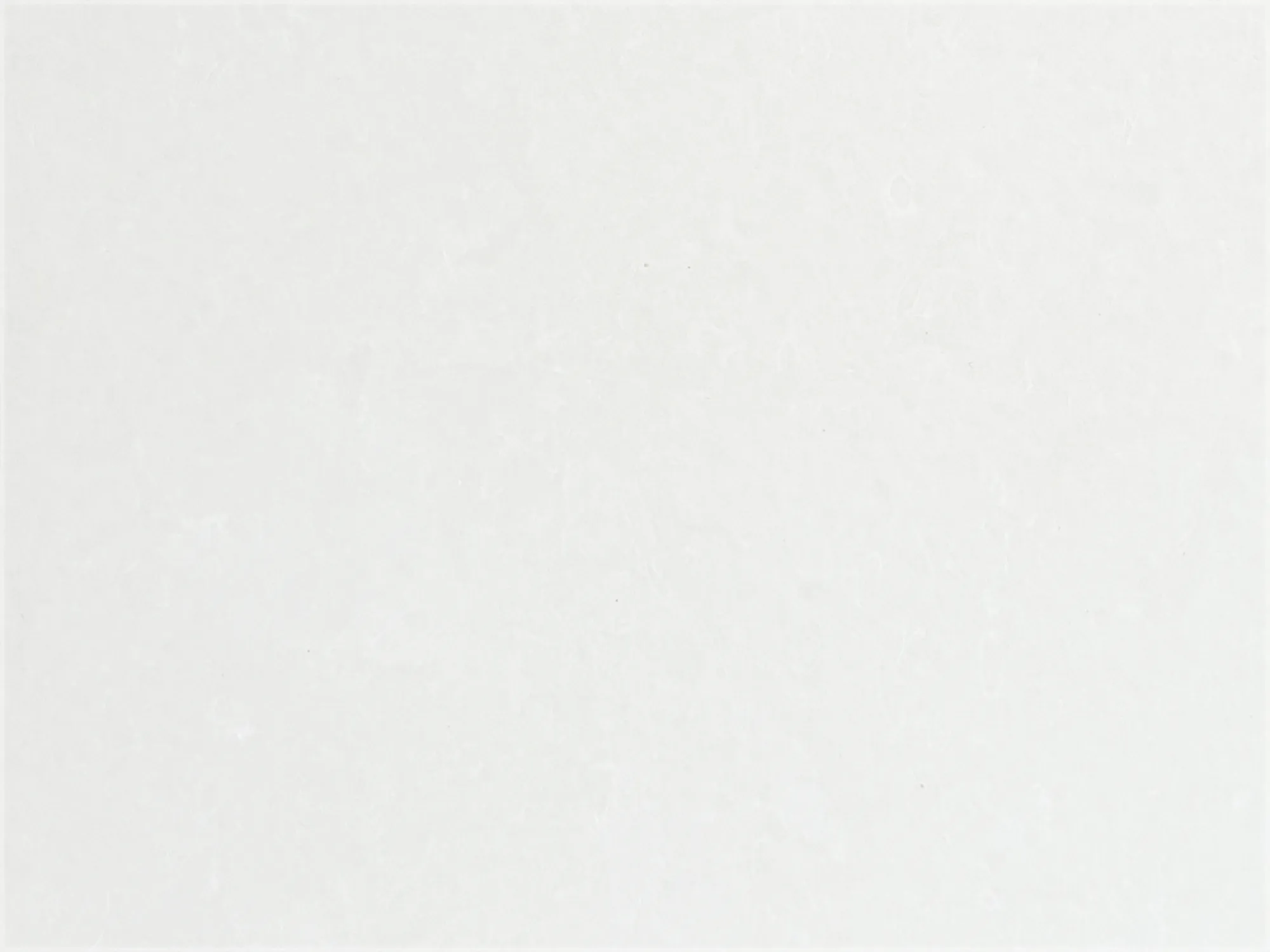 Close-up of Cloudy Limestone with an off-white background and subtle cloud-like variation in pale gray tones.