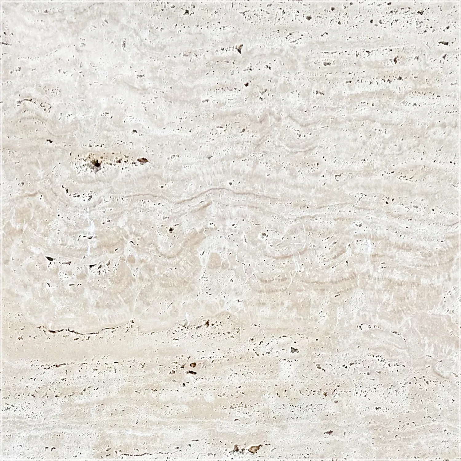 Unfilled polished Ivory Travertine Vein Cut tile with light beige bands and scattered open pores.