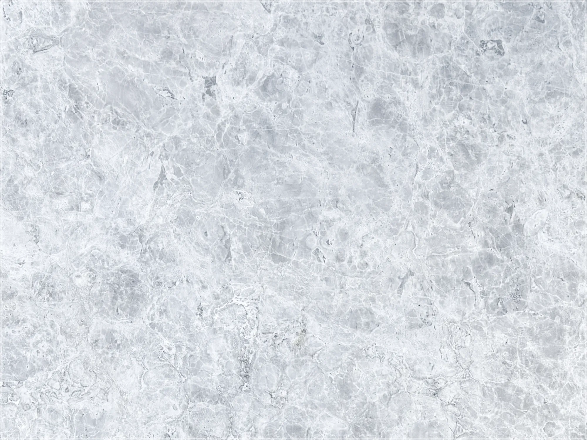Tundra Grey marble with a light gray background, cloudy tonal variation, and a network of fine white veins.