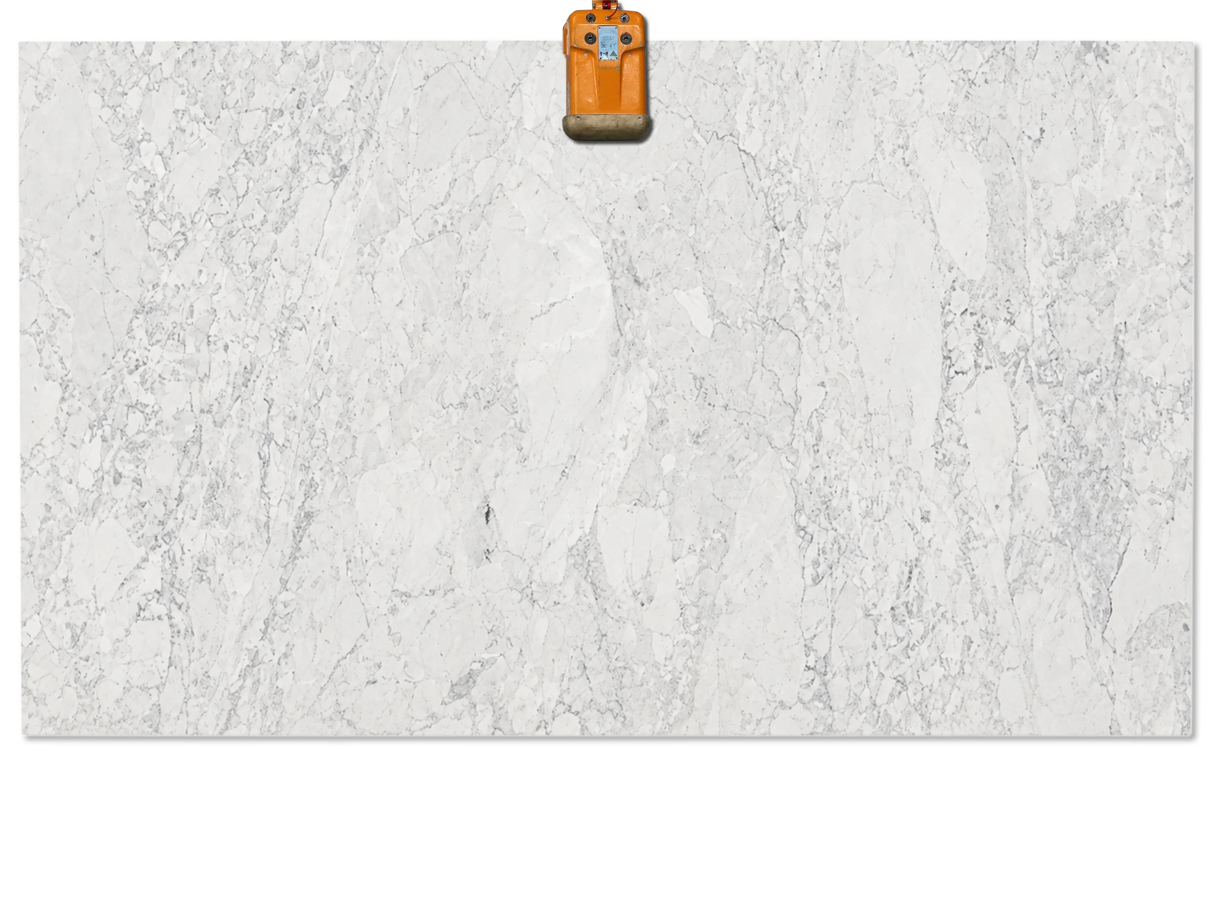 Bianco Carrara marble slab with a white background, fine gray veins, and areas of denser branching patterns.