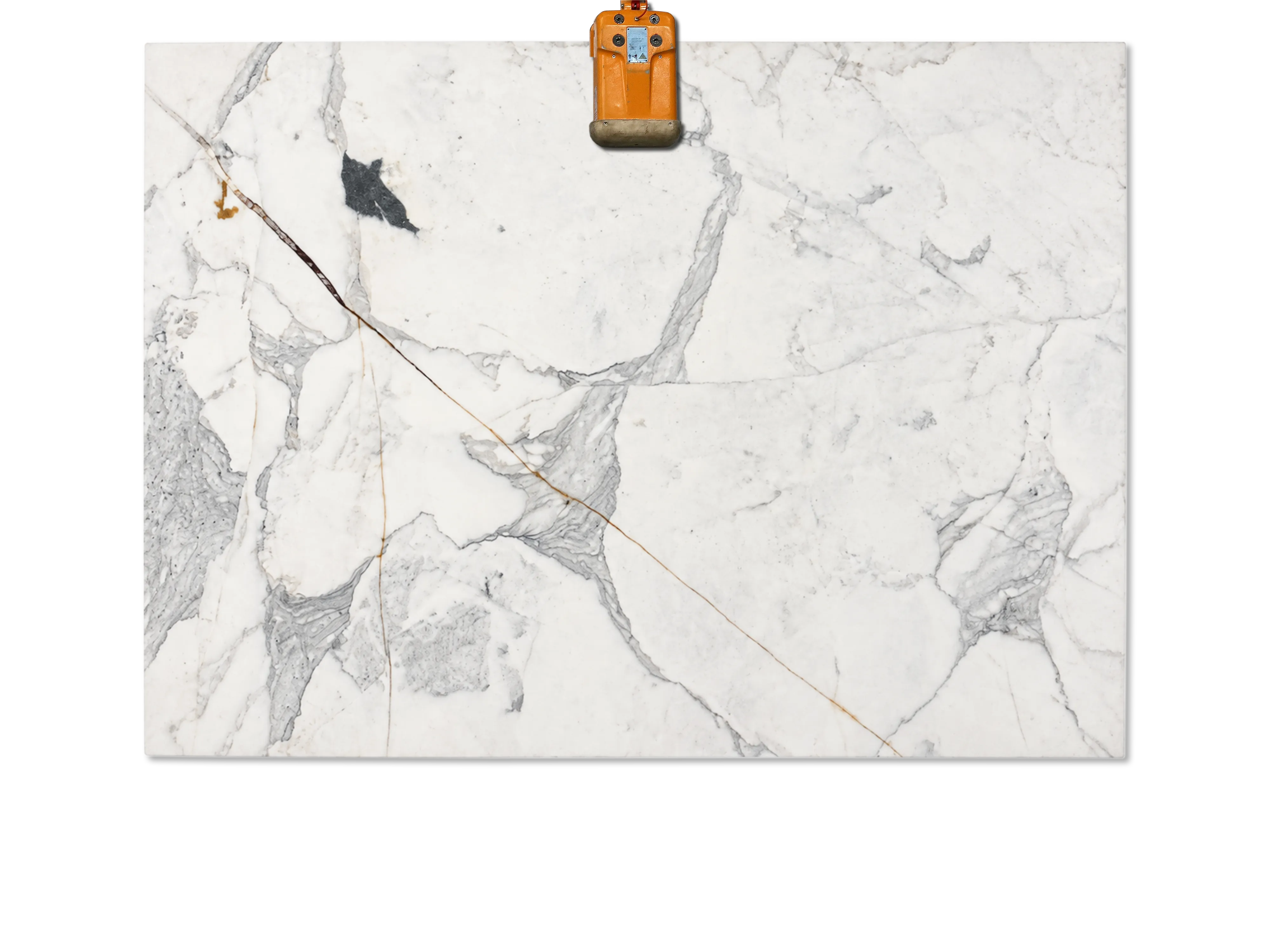 Calacatta Verde Selection 01 marble slab with a white background, branching gray veins, and thin diagonal gold-brown lines.
